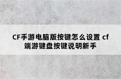 CF手游电脑版按键怎么设置 cf端游键盘按键说明新手